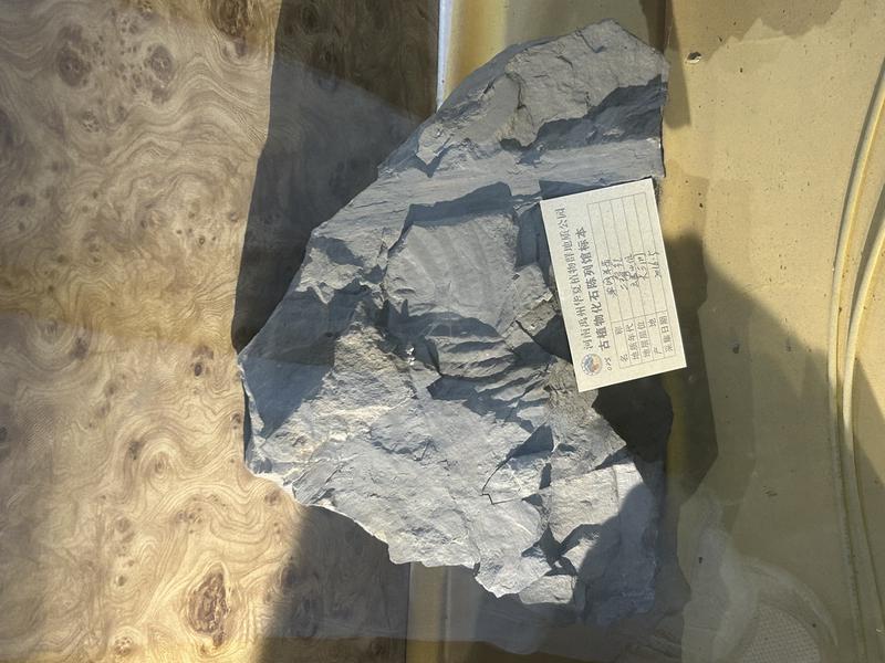 活力中国调研行丨太惊艳！昔日挖煤山村，今朝文旅富民村